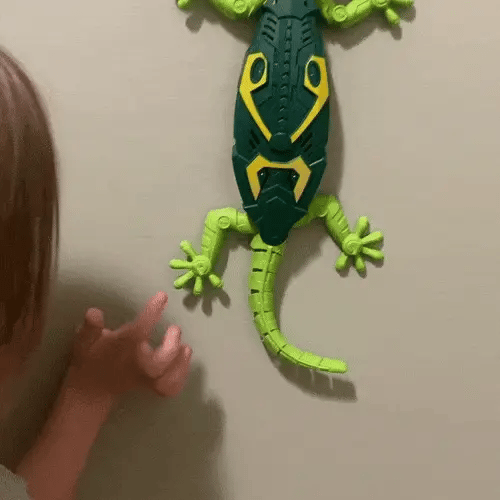 Wall Climbing Gecko